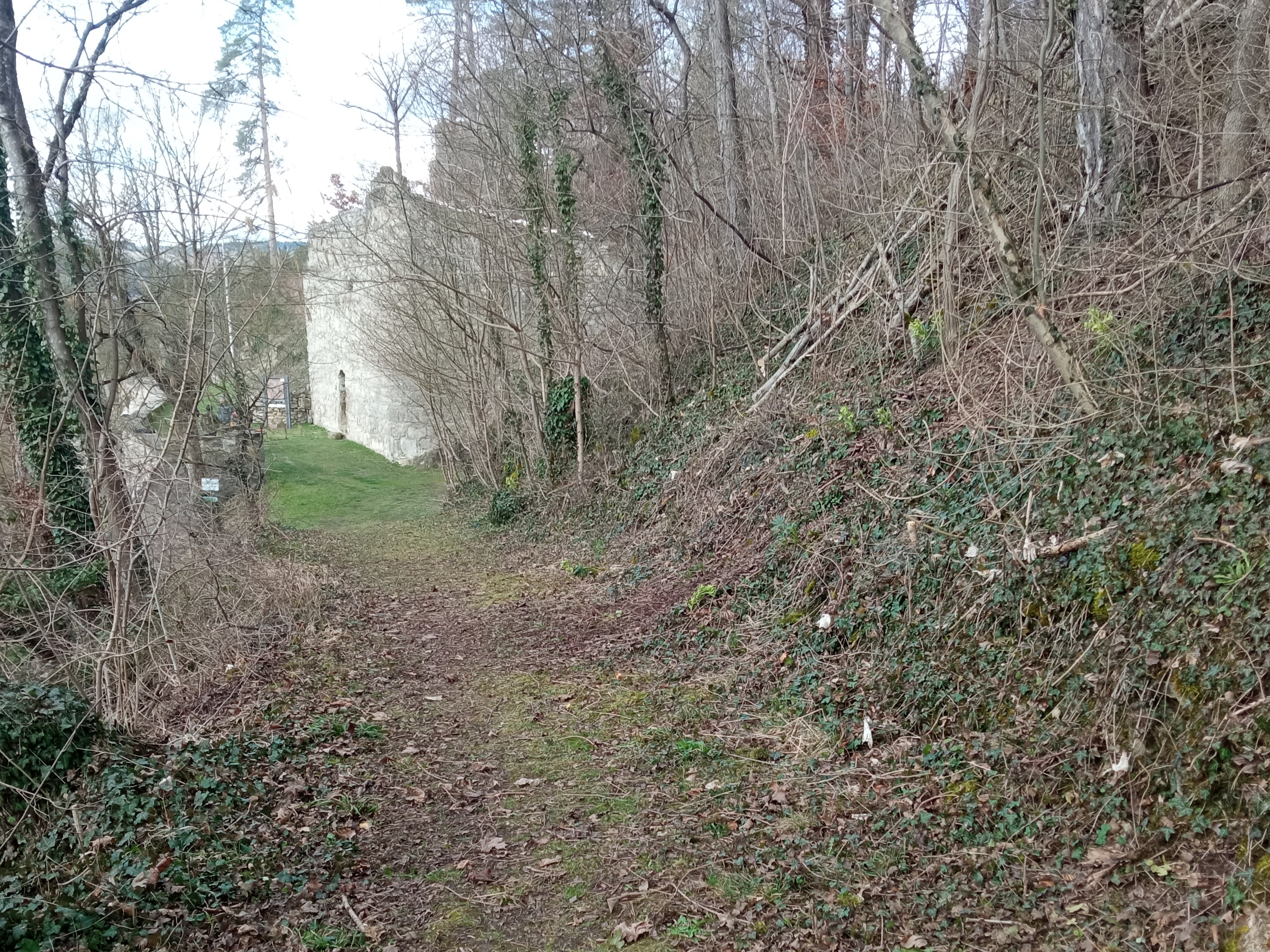Der freigeschnittene Zugang zur Burgruine Der freigeschnittene Zugang zur Burgruine